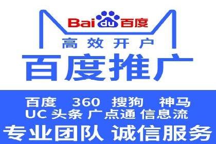 竞价广告在XX行业的成功应用案例